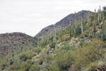 desert foothills land trust 